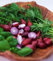 Piroska dunkelrot 5kg