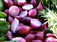 Piroska dunkelrot 5kg