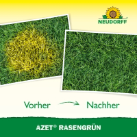 Azet Rasen­Grün 250ml