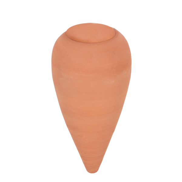 Olla Zimmerpflanzen