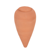 Olla Zimmerpflanzen