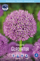 Allium Gladiator 120cm 1 Stk.