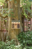 Insektenhotel