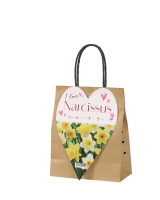 I Love Narcissus