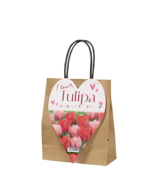I Love Tulipa