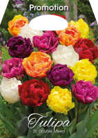 Tulpen Gefüllte Mischung 20St.