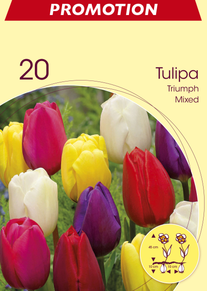 Tulpen Triumph Mischung 20St.