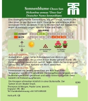 Sonnenblume Choco Sun ca.35cm MHD 12/25