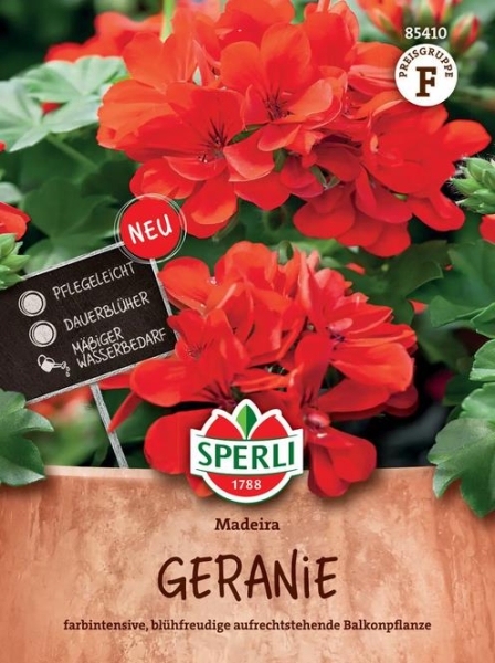 Geranie Madeira MHD 12/2025