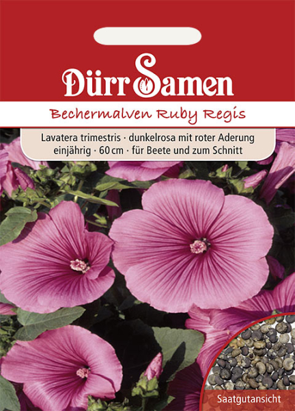 Bechermalve Ruby Regis MHD 12/25