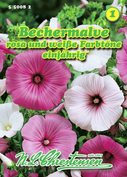 Bechermalve rosa und weiß MHD 01/26
