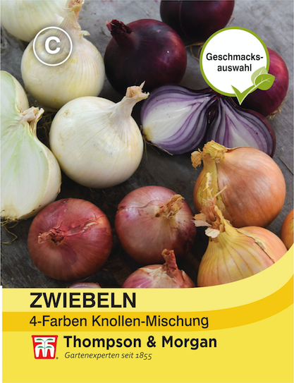 Zwiebeln 4 Farben Mischung MHD 12/25