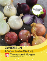 Zwiebeln 4 Farben Mischung MHD 12/25