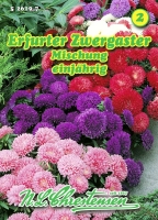 Erfurter Zwergaster Mischung MHD 01/26