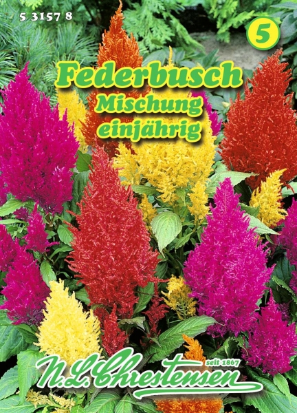Federbusch Mischung MHD 01/26