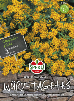 Würz-Tagetes Hot Mexican