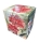 Amaryllis Lady Jane mit Topf+Erde