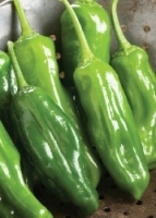 Paprika/Chili Mellow Star / 10 Samen MHD 06/26