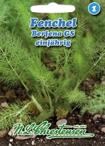 Fenchel grossfrüchtiger MHD 01/26
