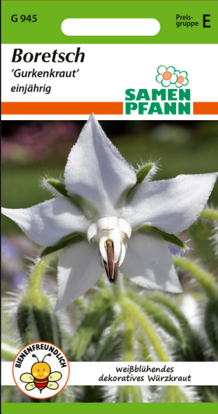 Borretsch Weißer Borretsch MHD 01/26