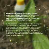 Ecostern® Bodenverbesserer 250 ml