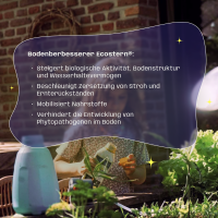 Ecostern® Bodenverbesserer 250 ml