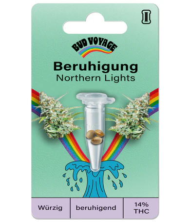 Hanfsamen Northern Lights Auto (beruhigend, entspannend, für Anfänger)
