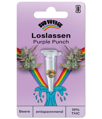 Hanfsamen Purple Punch Auto (körperlich, entspannend, fruchtig)
