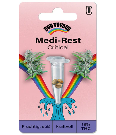 Hanfsamen Critical Fem (mediz. Sorte, körperlich entspannend, Anfänger )