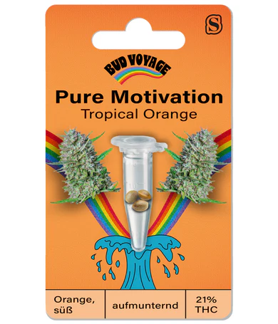 HanfsamenTropical Orange Auto (Aufmunternd, motivierend)