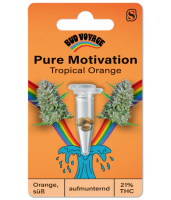 HanfsamenTropical Orange Auto (Aufmunternd, motivierend)