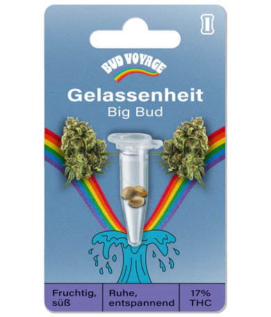 Hanfsamen  Big Bud Fem (beruhigend, ausgeglichen)
