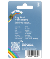 Hanfsamen  Big Bud Fem (beruhigend, ausgeglichen)