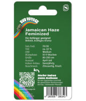 Hanfsamen Jamaican Haze Fem (Sativa, Entspannend, Lustig)