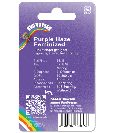 Hanfsamen Purple Haze Fem (euphorisch, happy, relaxed)