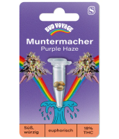 Hanfsamen Purple Haze Fem (euphorisch, happy, relaxed)
