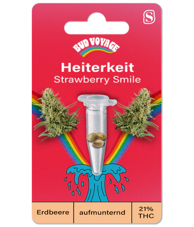 Hanfsamen Strawberry Smile Auto (Erheiternd, klar, kreativ)