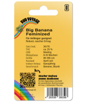 Hanfsamen Big Banana Fam (Anti-Stress, entspannend, aufheiternd)