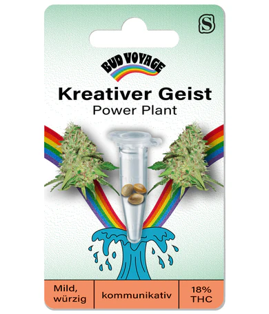 Hanfsamen Power Plant Fem (kreativ, künstlerisch, kommunikativ)