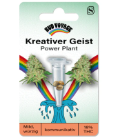 Hanfsamen Power Plant Fem (kreativ, künstlerisch,...