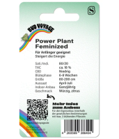 Hanfsamen Power Plant Fem (kreativ, künstlerisch, kommunikativ)