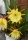 Orchideenkaktus (Epiphyllum oxypetalum)