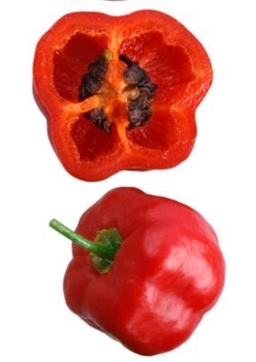 Baumchili- Rocoto ( Capsicum pubescens )