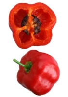 Baumchili- Rocoto ( Capsicum pubescens )