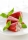 Mini Spitzpaprika (Capsicum annuum)