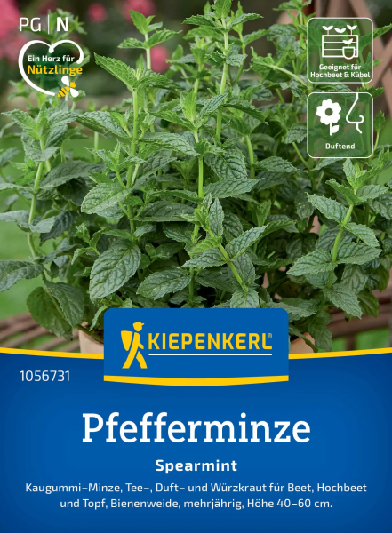 Pfefferminzsamen Spearmint