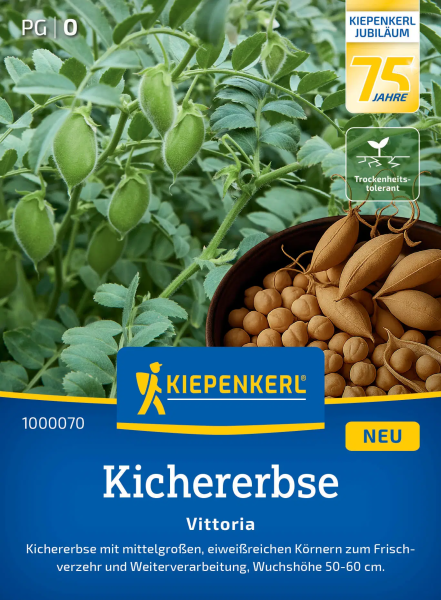 Kichererbsensamen Vittoria