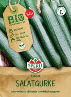 Bio-Salatgurke Kalunga