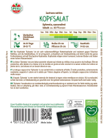 Kopfsalat Sylvesta