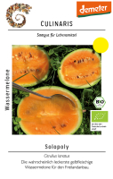 Wassermelone Solopoly